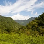 Montañas de la sierra nevada de santa marta